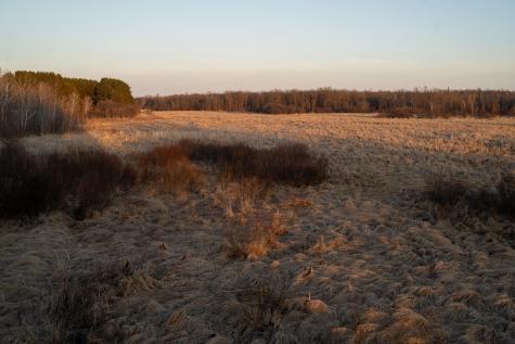 Tbd Highway 71 Wadena MN 56482