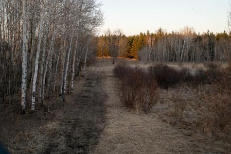 Tbd Highway 71 Wadena MN 56482