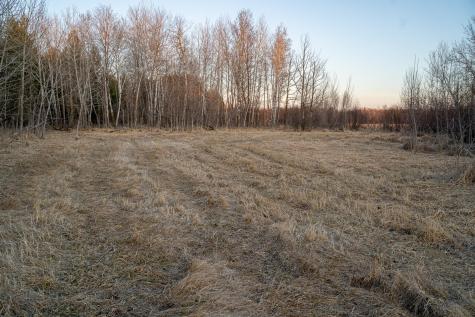 Tbd Highway 71 Wadena MN 56482