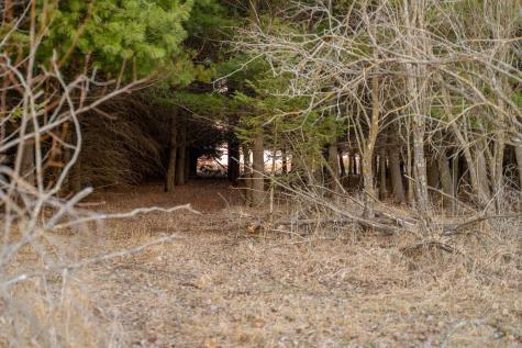 Tbd Highway 71 Wadena MN 56482