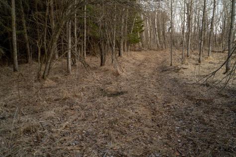 Tbd Highway 71 Wadena MN 56482