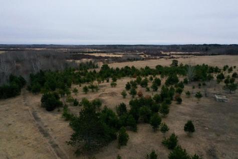 Tbd Highway 71 Wadena MN 56482