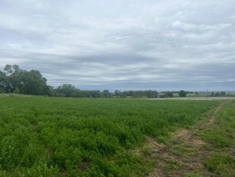 17132 Boyer Lake Road Lake Park MN 56554