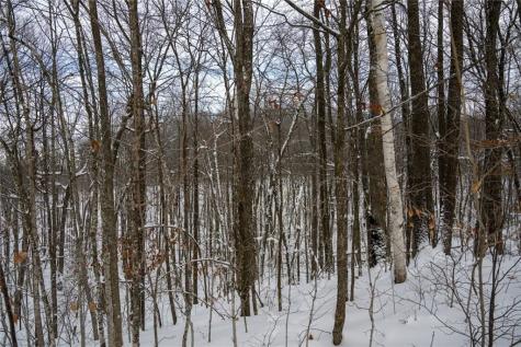 Block 5 Comet Road Exeland WI 54835