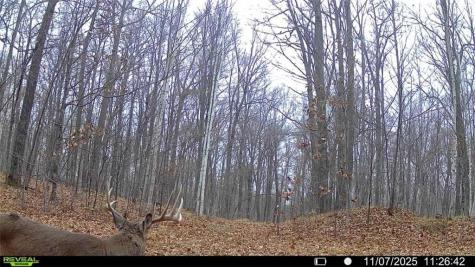 Block 5 Comet Road Exeland WI 54835