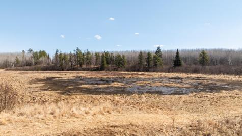 Tbd 285th Avenue Akeley MN 56433