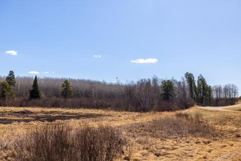 Tbd 285th Avenue Akeley MN 56433