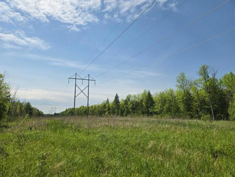 TBD Town Road 166 Littlefork MN 56653