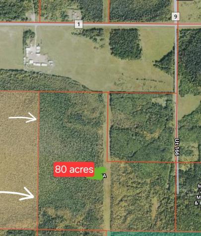 TBD Town Road 166 Littlefork MN 56653
