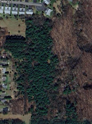 Tbd Folsom Street Shafer MN 55074