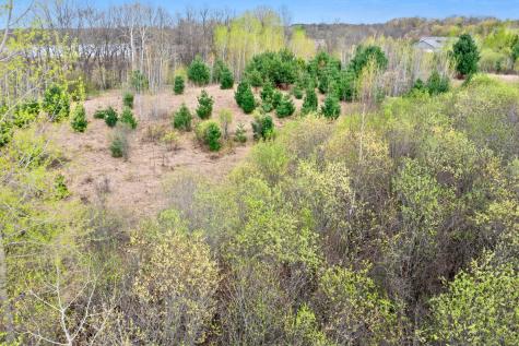 0000 London Trail NE Stanchfield MN 55080