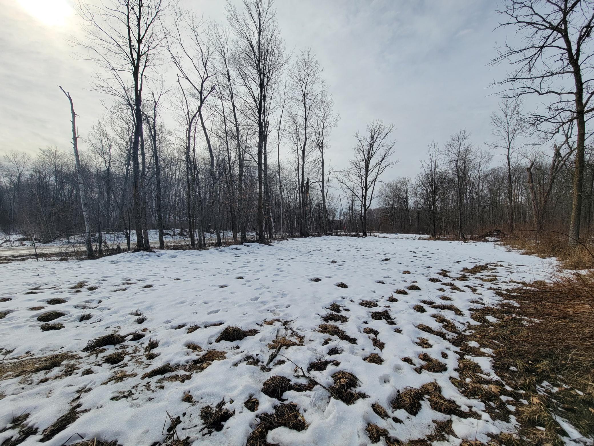 Xxxx Black Bear Drive SW Motley MN 56466