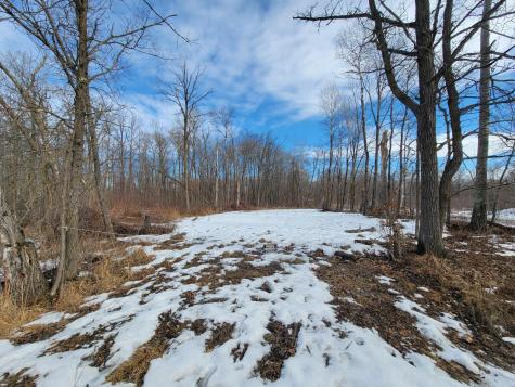 Xxxx Black Bear Drive SW Motley MN 56466