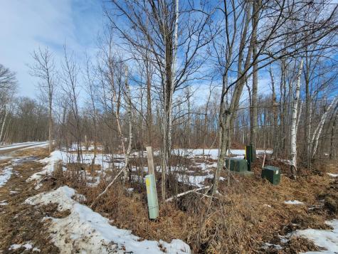 Xxxx Black Bear Drive SW Motley MN 56466