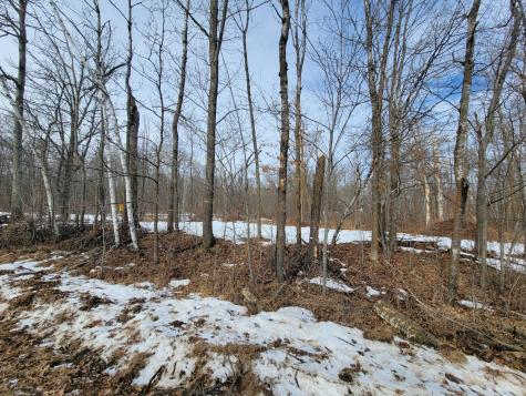 Xxxx Black Bear Drive SW Motley MN 56466