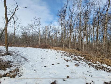 Xxxx Black Bear Drive SW Motley MN 56466