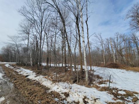 Xxxx Black Bear Drive SW Motley MN 56466