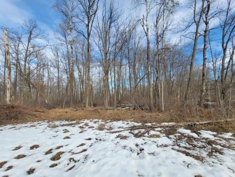 Xxxx Black Bear Drive SW Motley MN 56466