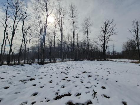 Xxxx Black Bear Drive SW Motley MN 56466