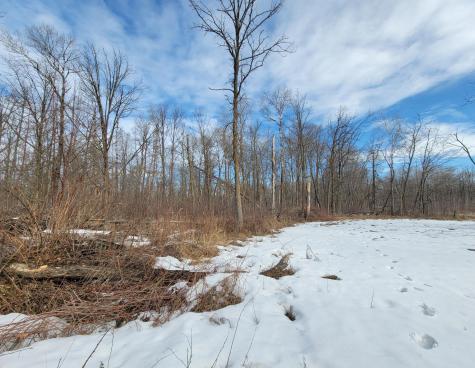 Xxxx Black Bear Drive SW Motley MN 56466
