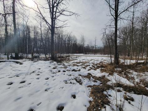 Xxxx Black Bear Drive SW Motley MN 56466