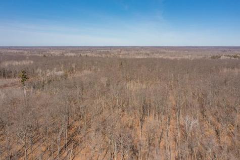 Tbd 250th Place Isle MN 56342