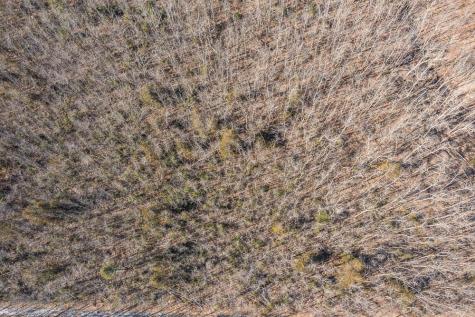 Tbd 250th Place Isle MN 56342
