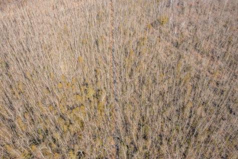 Tbd 250th Place Isle MN 56342