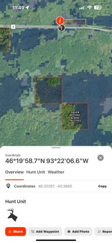 Tbd 250th Place Isle MN 56342