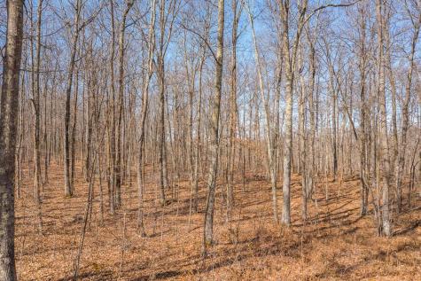Tbd 250th Place Isle MN 56342
