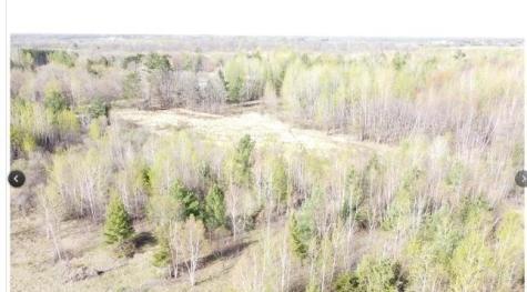 20XXX Highway #169 Milaca MN 56353