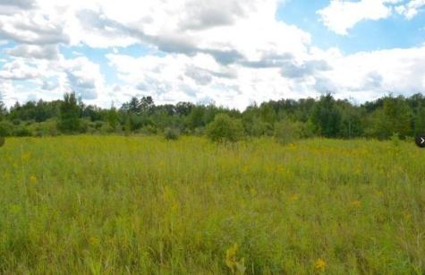 20XXX Highway #169 Milaca MN 56353