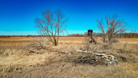 37675 395th Street Dent MN 56528