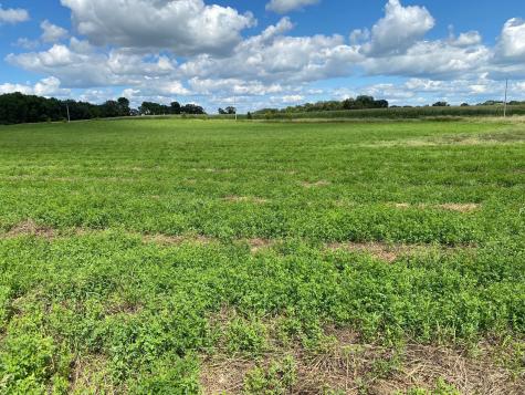 Lot 2 Blk 2 Serenity Drive SW Alexandria MN 56308