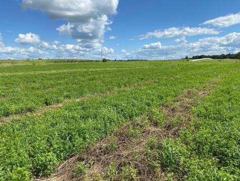 Lot 2 Blk 2 Serenity Drive SW Alexandria MN 56308