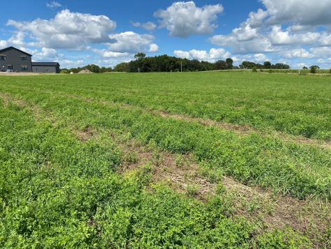 Lot 2 Blk 2 Serenity Drive SW Alexandria MN 56308