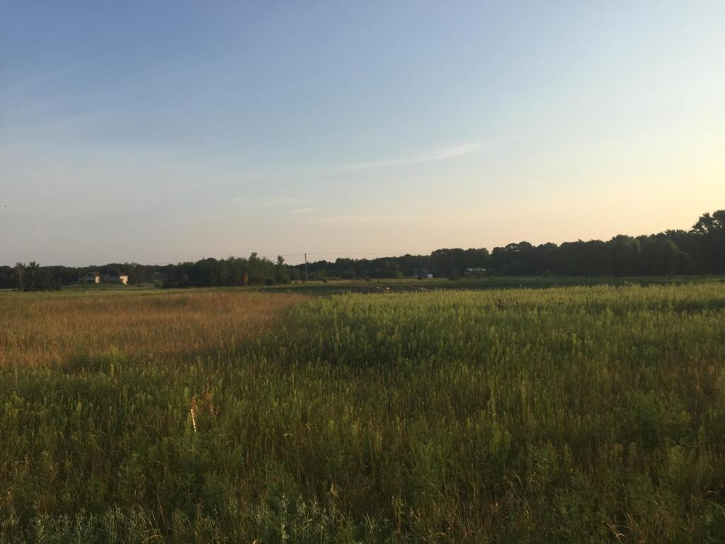 8354 169th Avenue NE Forest Lake MN 55025
