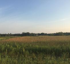 8354 169th Avenue NE Forest Lake MN 55025