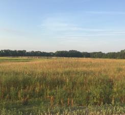 8354 169th Avenue NE Forest Lake MN 55025