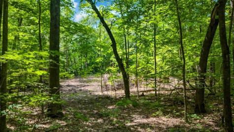 Lots B & C 389th Avenue Aitkin MN 56431