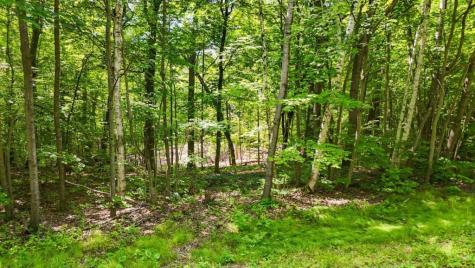 Lots B & C 389th Avenue Aitkin MN 56431