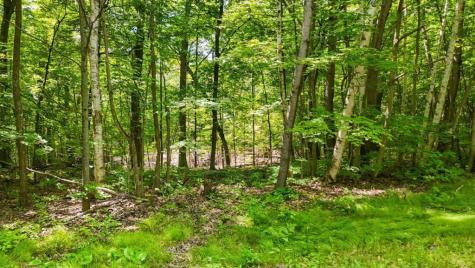 Lots B & C 389th Avenue Aitkin MN 56431
