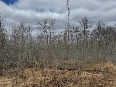 TBD40 Township Road 5743 Road Alborn MN 55702
