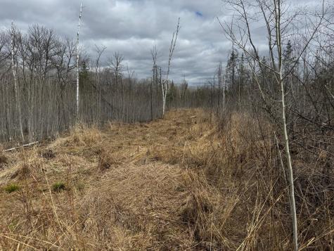 TBD40 Township Road 5743 Road Alborn MN 55702