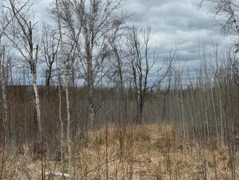 TBD40 Township Road 5743 Road Alborn MN 55702