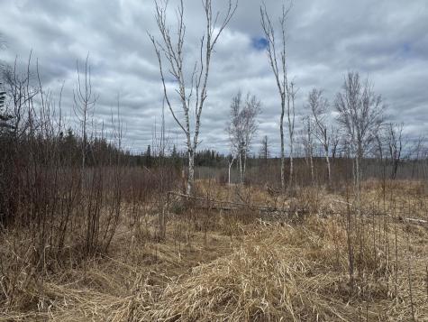 TBD40 Township Road 5743 Road Alborn MN 55702