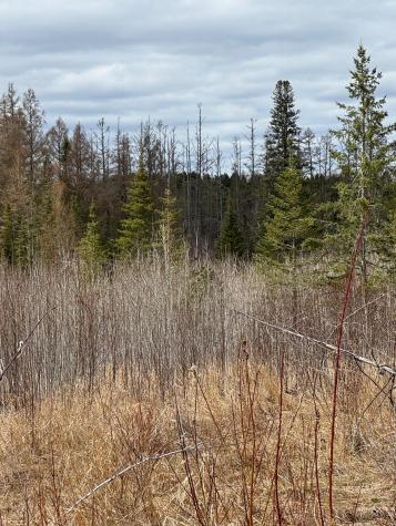 TBD40 Township Road 5743 Road Alborn MN 55702