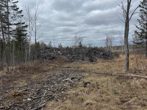 TBD40 Township Road 5743 Road Alborn MN 55702