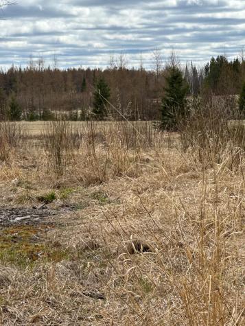 TBD40 Township Road 5743 Road Alborn MN 55702