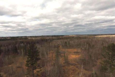 TBD40 Township Road 5743 Road Alborn MN 55702